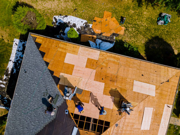 Best Storm Damage Roof Repair  in Moline, IL